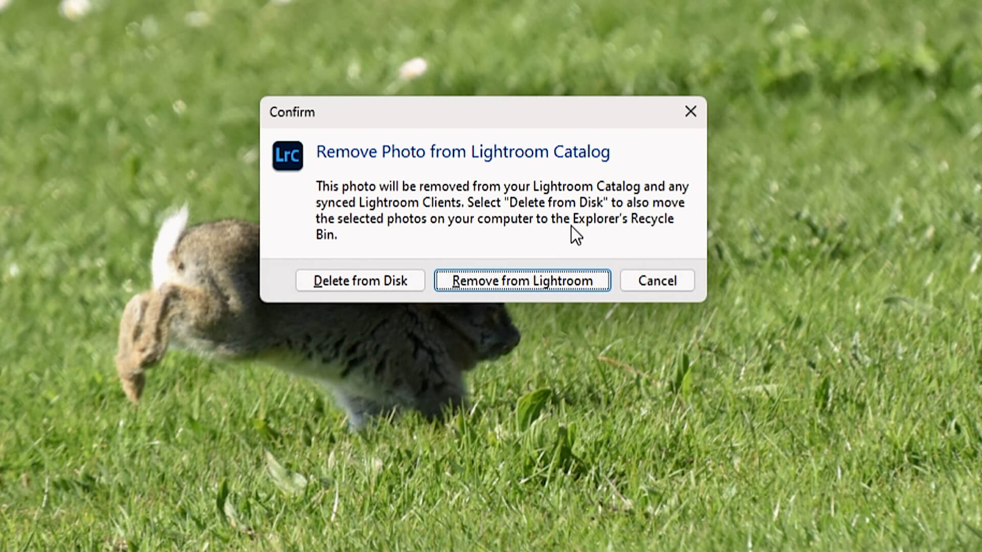 lightroom képek törlése