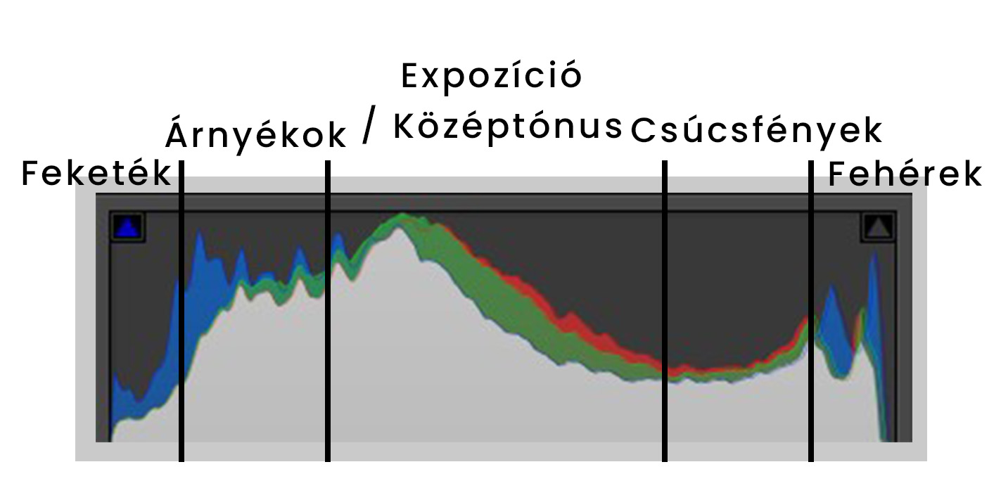 Hisztogram jelentése